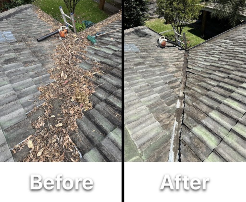 Gutter Cleaning Northern Beaches Forest Gutters & Window Cleaning