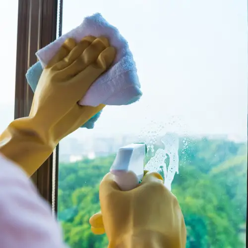 Window Cleaning Avalon
