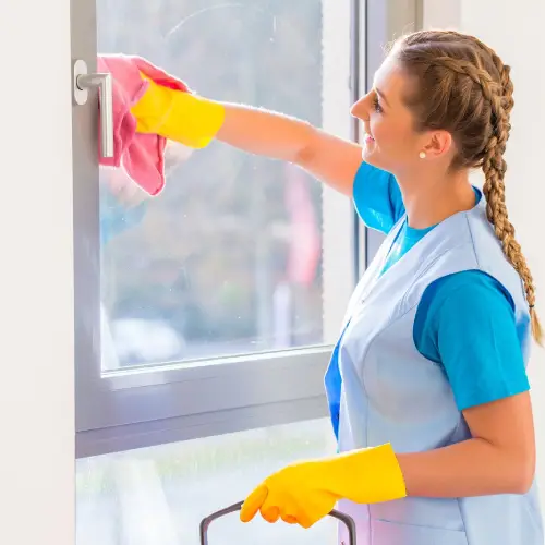 Window Cleaning Mosman